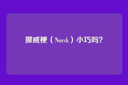 挪威梗(Norsk)小巧吗?