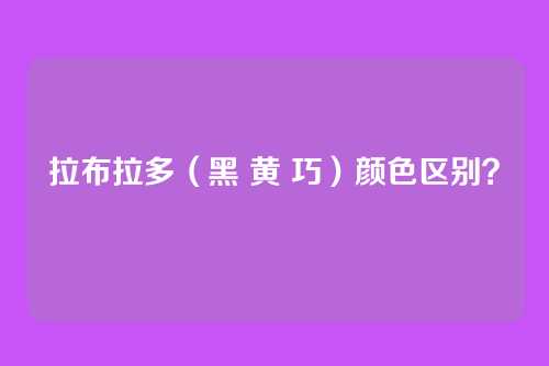拉布拉多(黑 黄 巧)颜色区别?