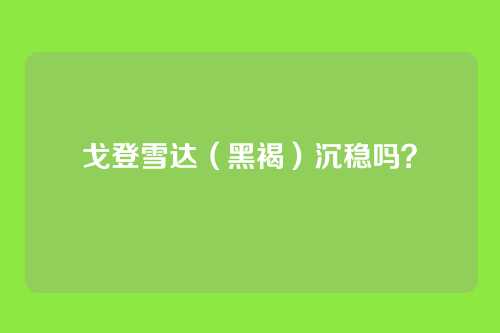 戈登雪达（黑褐）沉稳吗？