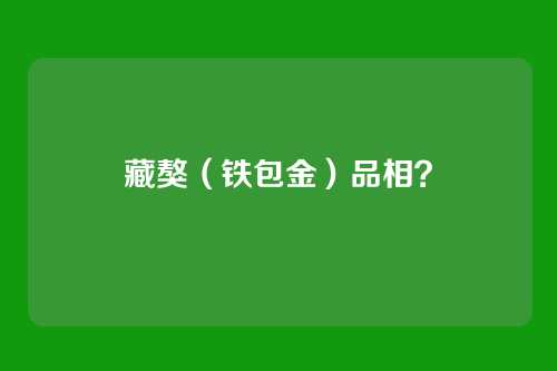 藏獒（铁包金）品相？