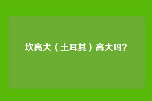 坎高犬(土耳其)高大吗?