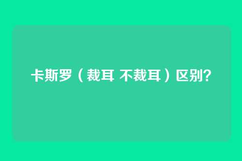 卡斯罗(裁耳 不裁耳)区别?