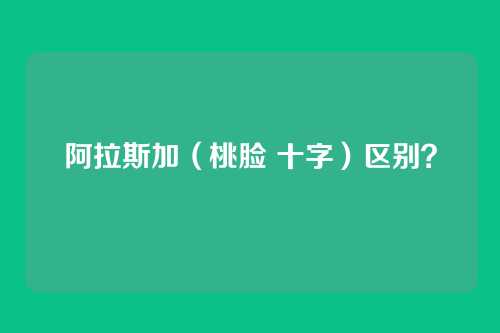 阿拉斯加(桃脸 十字)区别?