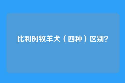 比利时牧羊犬（四种）区别？