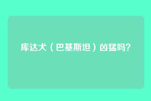 库达犬（巴基斯坦）凶猛吗？