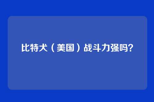 比特犬（美国）战斗力强吗？