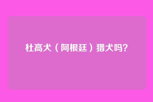 杜高犬（阿根廷）猎犬吗？