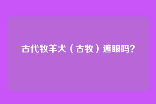 古代牧羊犬（古牧）遮眼吗？