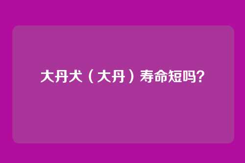 大丹犬(大丹)寿命短吗?