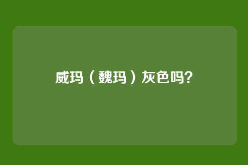 威玛(魏玛)灰色吗?