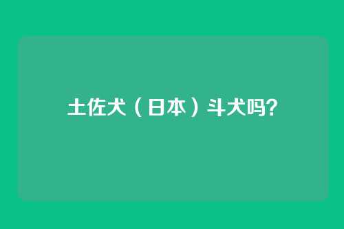 土佐犬（日本）斗犬吗？