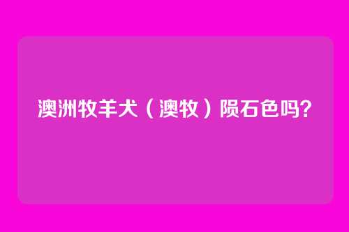 澳洲牧羊犬(澳牧)陨石色吗?