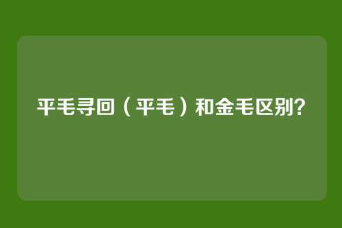 平毛寻回(平毛)和金毛区别?