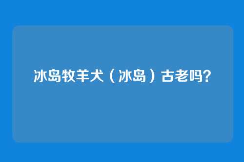 冰岛牧羊犬(冰岛)古老吗?