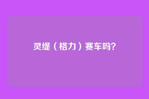 灵缇(格力)赛车吗?