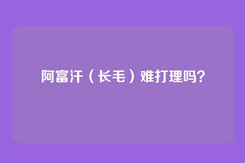 阿富汗(长毛)难打理吗?