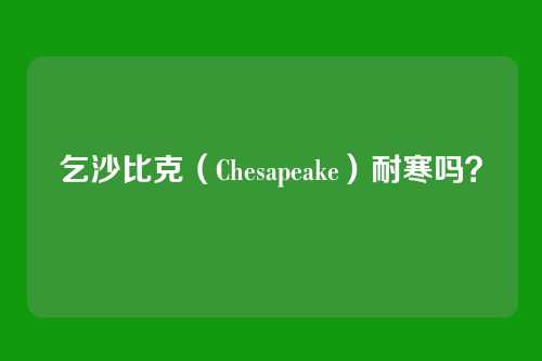 乞沙比克（Chesapeake）耐寒吗？