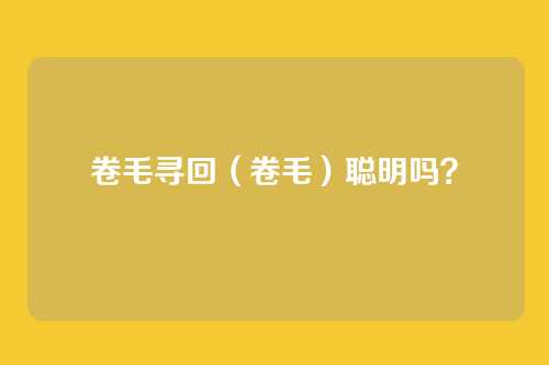 卷毛寻回(卷毛)聪明吗?