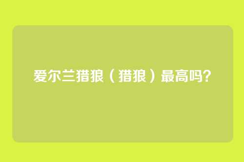 爱尔兰猎狼（猎狼）最高吗？