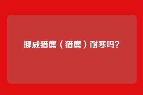 挪威猎麋(猎麋)耐寒吗?