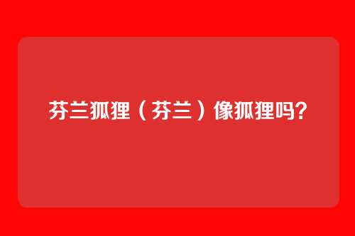 芬兰狐狸（芬兰）像狐狸吗？