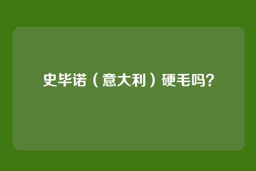 史毕诺(意大利)硬毛吗?