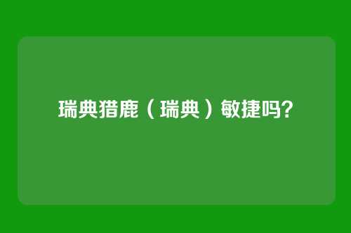 瑞典猎鹿(瑞典)敏捷吗?