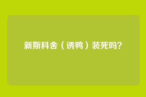 新斯科舍(诱鸭)装死吗?