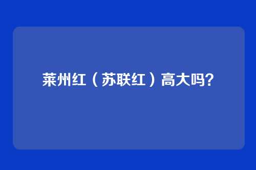 莱州红(苏联红)高大吗?