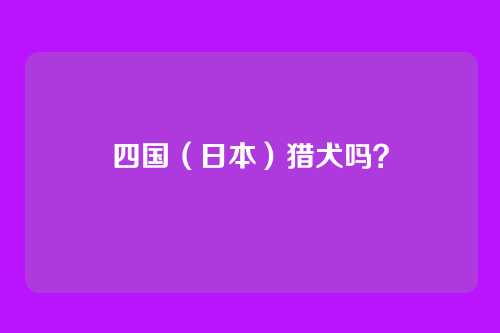 四国（日本）猎犬吗？