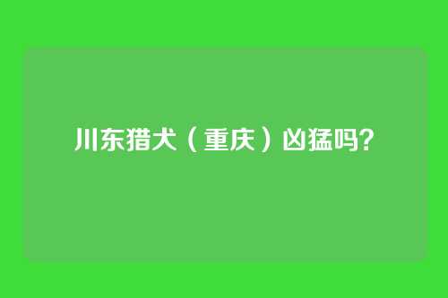 川东猎犬(重庆)凶猛吗?