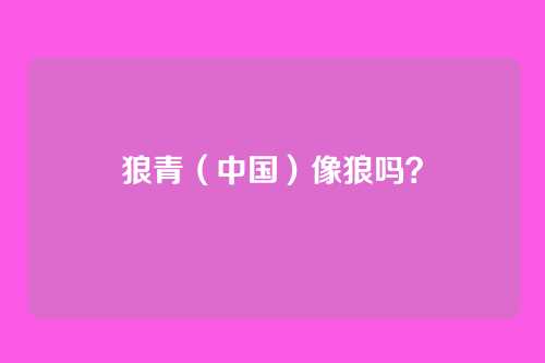 狼青(中国)像狼吗?