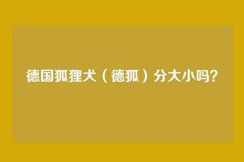 德国狐狸犬（德狐）分大小吗？