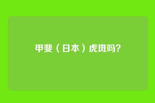 甲斐(日本)虎斑吗?