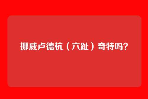 挪威卢德杭（六趾）奇特吗？