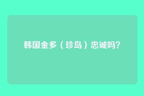 韩国金多(珍岛)忠诚吗?