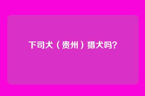 下司犬（贵州）猎犬吗？