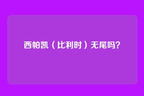 西帕凯(比利时)无尾吗?