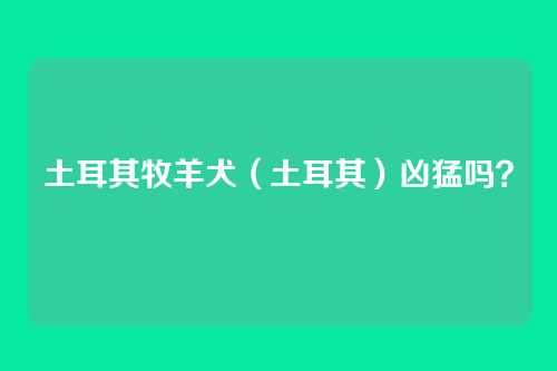 土耳其牧羊犬（土耳其）凶猛吗？