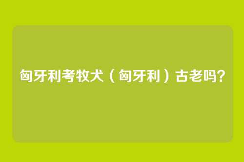 匈牙利考牧犬（匈牙利）古老吗？