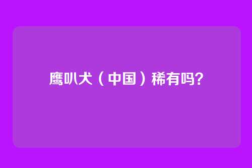 鹰叭犬（中国）稀有吗？