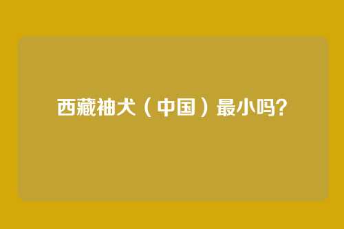 西藏袖犬(中国)最小吗?