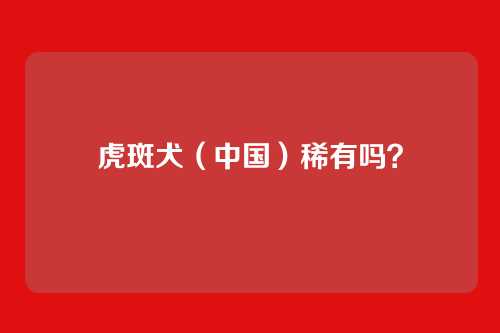 虎斑犬（中国）稀有吗？