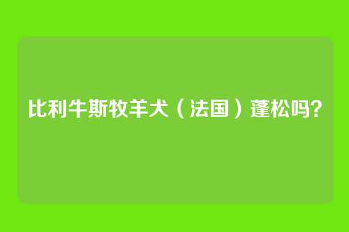 比利牛斯牧羊犬（法国）蓬松吗？