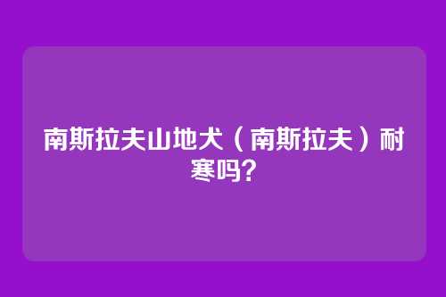 南斯拉夫山地犬(南斯拉夫)耐寒吗?