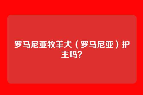 罗马尼亚牧羊犬(罗马尼亚)护主吗?