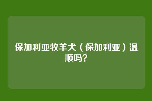 保加利亚牧羊犬（保加利亚）温顺吗？