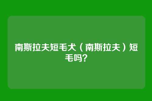 南斯拉夫短毛犬(南斯拉夫)短毛吗?
