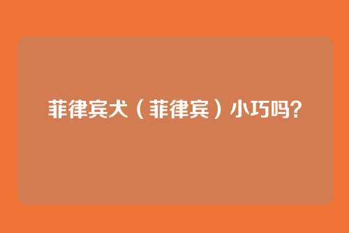 菲律宾犬(菲律宾)小巧吗?
