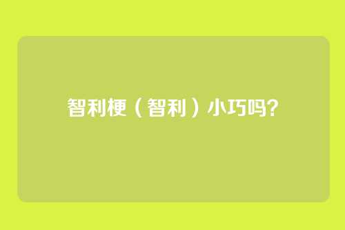 智利梗（智利）小巧吗？